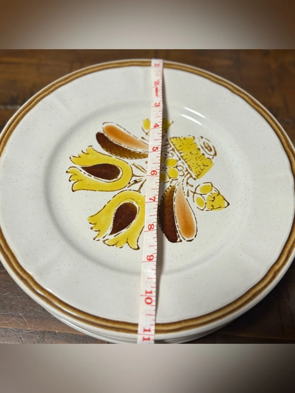 6 Vintage Hearthside Bountiful Stoneware Dinner Plates - Hand Painted Japan